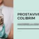 Prostavive Colibrim: A Comprehensive Guide to Its Benefits